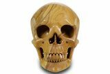 Realistic, Polished Picture Jasper Skull #378609-1